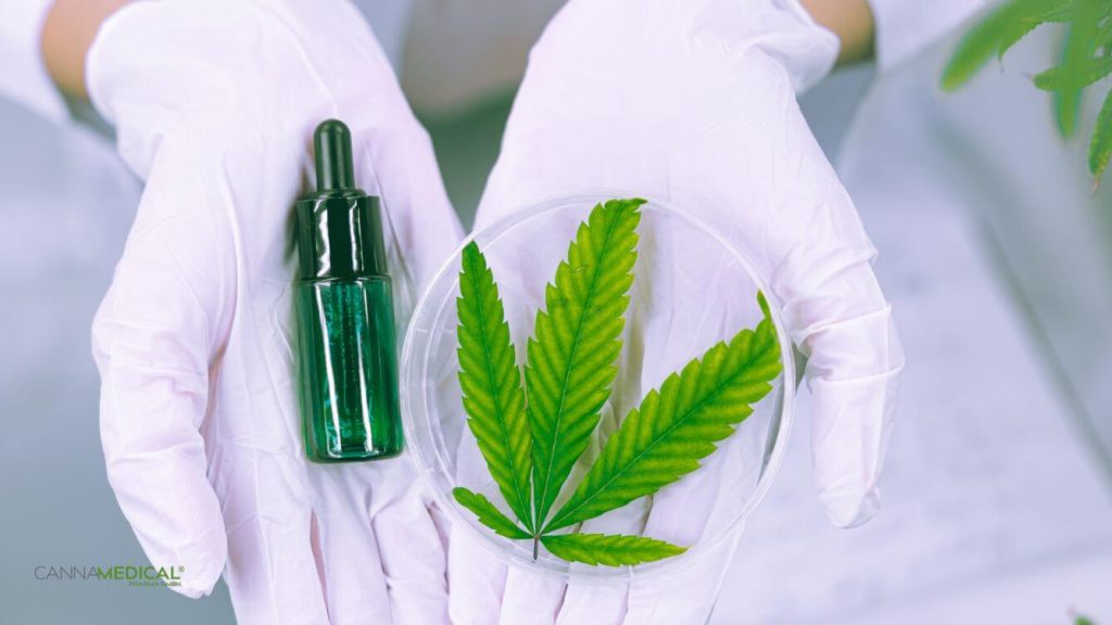 Cannabisöl gegen Schmerzen titelbild (1337 x 752 px)