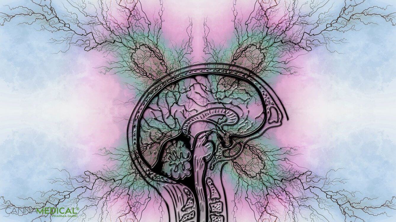 Gehirn Querschnitt psychedelischer Hintergrund