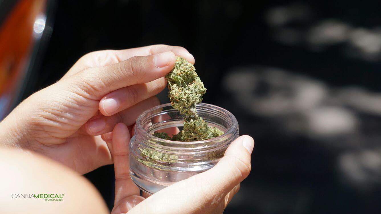 beste cannabis sorte für gute laune titelbild