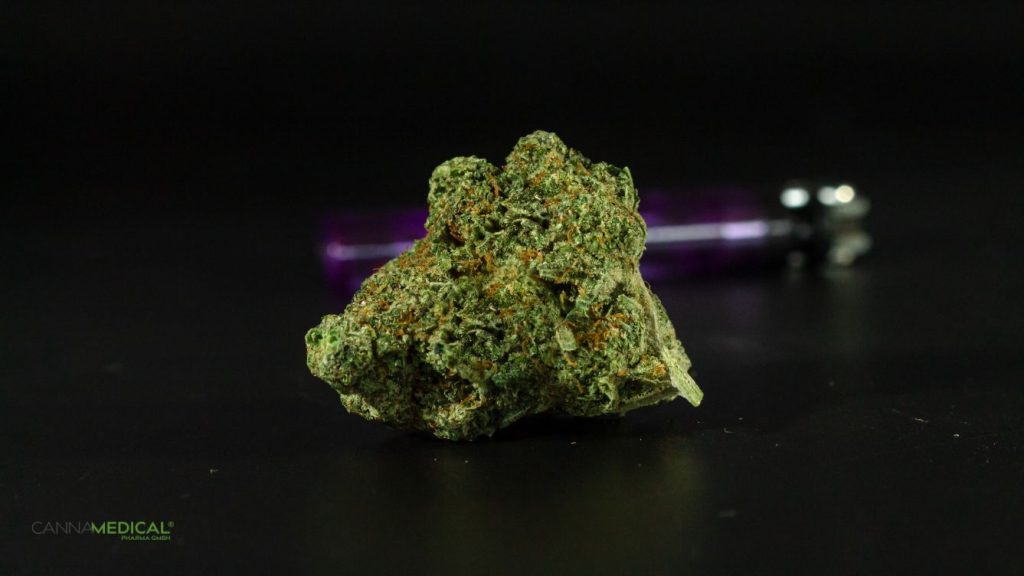 cannabis sorten titelbild