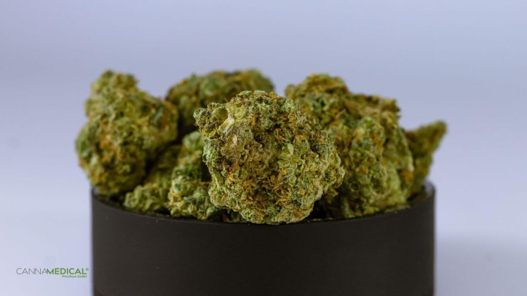 cannabissorte für anfänger titelbild (1337 x 752 px)