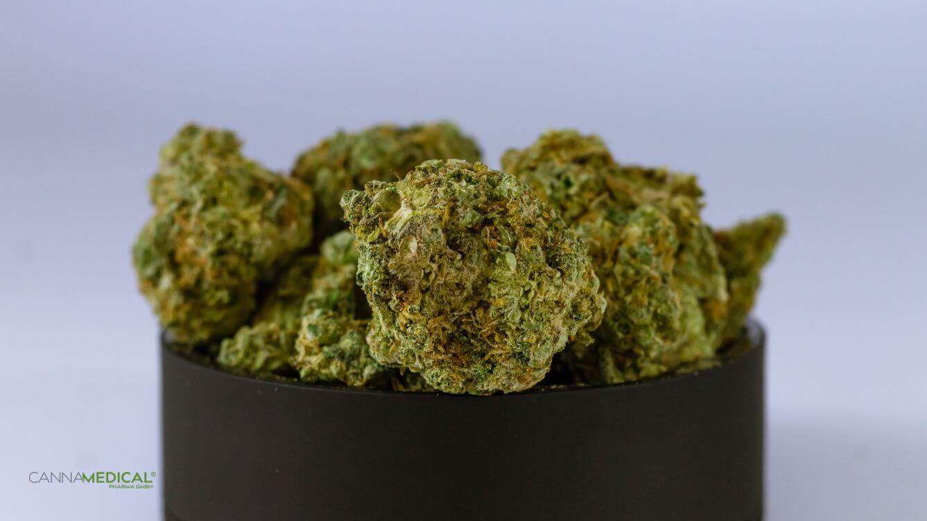 cannabissorte für anfänger titelbild (1337 x 752 px)