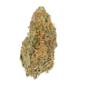 Gelato Dream