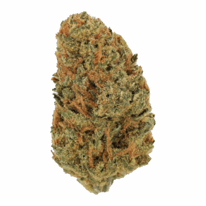Jack Herer