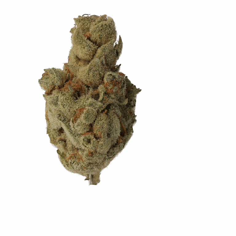 Black Cherry Punch