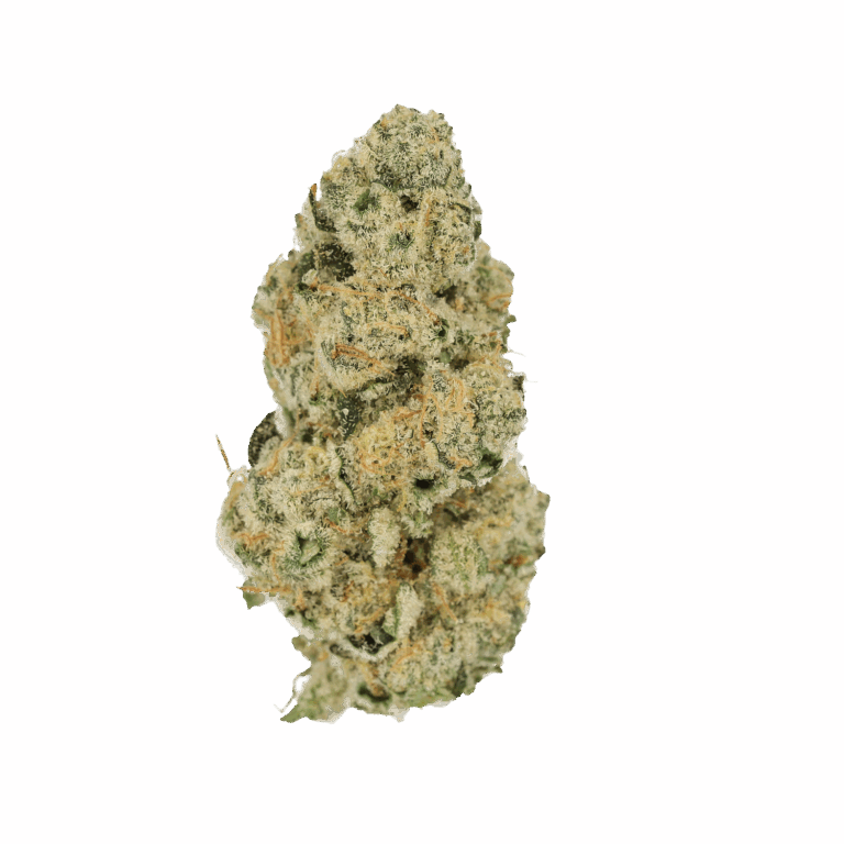 Blue Lavender