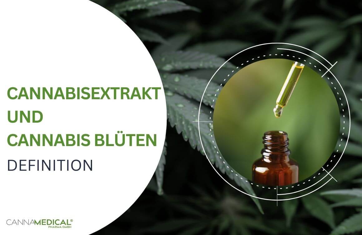 Cannabisextrakt Cannabis Blüten Definition