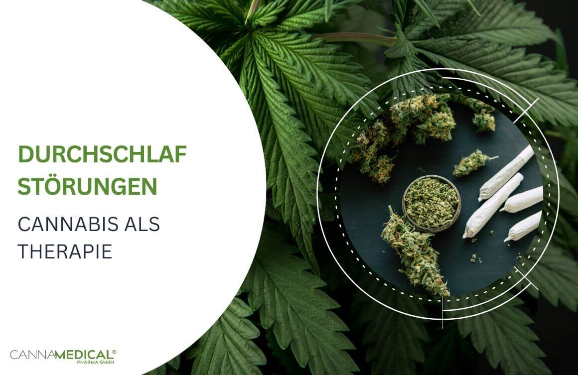 Cannabisblüten und Joints in Glasschale