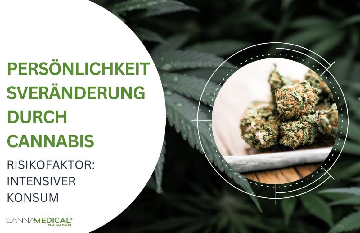 Joint und Cannabisblüten