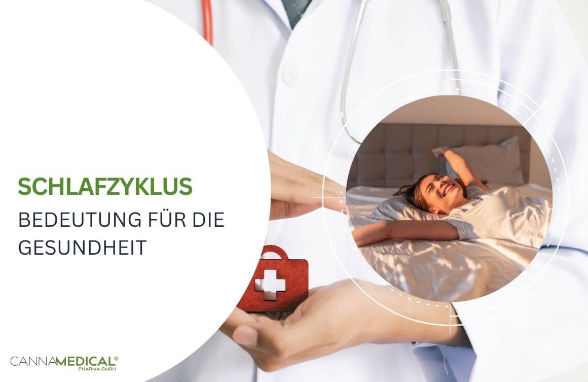 schlafzyklus gesundheit